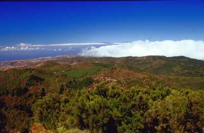 Nationalpark Garajonay en la Gomera