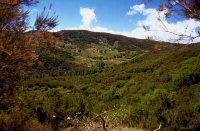 Der höchste Berg von La Gomara